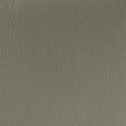 lg_CY-21-DK-Pewter