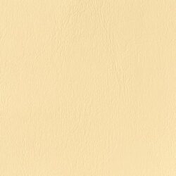lg_CY-25-First-Light