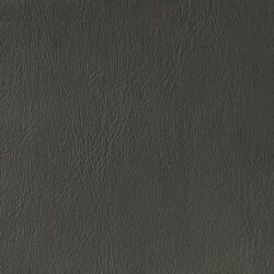lg_CY01GraphiteGrey15020412427