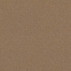 origin-caraway_TRvNek7