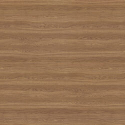 Millennium Oak