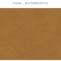 Butterscotch-Leather.jpg