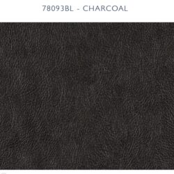 Charcoal-Leather.jpg