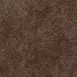Coaster-Recliner-Browm.jpg