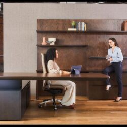 Executive-Desk-with-wall-unit.jpg
