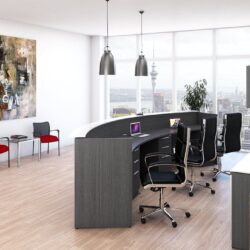 Gray-Reception-Desk-a-2022_11_22-17_04_38-UTC_1.jpg
