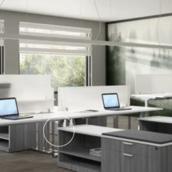 Team Sit Stand Desk