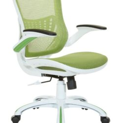 White-Frame-with-Green-Mesh-Desk-Chair-a.jpg