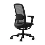 Ergonomic Chair