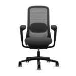 Ergonomic Chair
