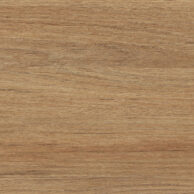 logiflex_ginger-root_gingembre_gia.jpg