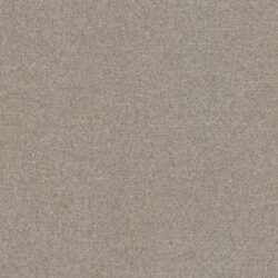 momentum_feltro_birch-1.jpg