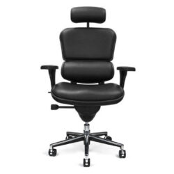 raynor-ergohuman-leather-chair-headrest-ray352__90232.jpg