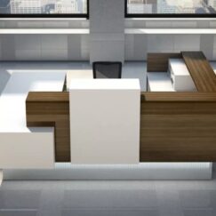 Reception Desk Inbox b